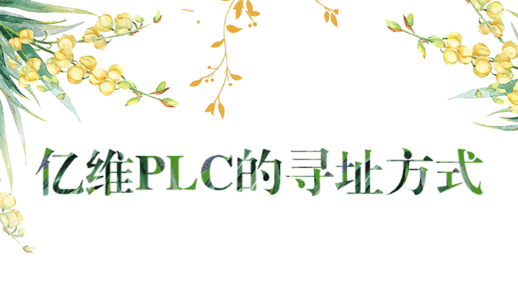 PLCѰַʽ